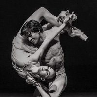 Twitto quello che mi va🦢🕺💃🩰📚🎬🌹🐱🌺💎✨🍀💙🤍 (@camelialadi) 's Twitter Profile
