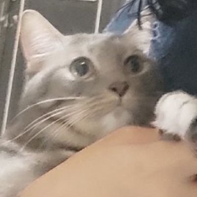 halfmund's profile picture. 3c clinically certified cegil.