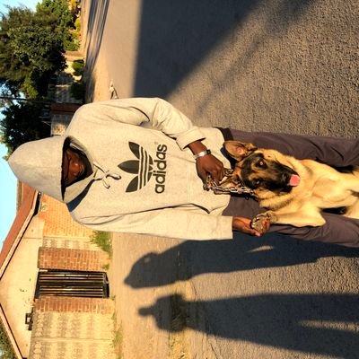The DOG FATHER
your favorite K9 behavior expert
Dog Breeder
DOG TRAINER