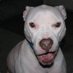Derrick Moreno (@derrickmor44234) Twitter profile photo Derrick Moreno (@derrickmor44234) Twitter profile photo