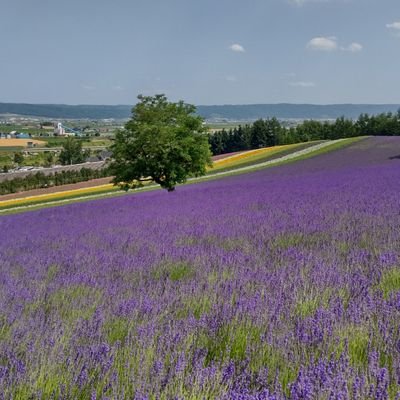 isakakun's profile picture. 