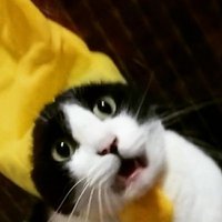 まー (@jg6f3ieqxksfqde) 's Twitter Profile Photo まー (@jg6f3ieqxksfqde) 's Twitter Profile Photo