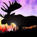 stuart elkington - @pickledmoose - Twitter