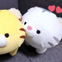めい˙˚ʚ✞ɞ˚˙ (@u_trhk5) 's Twitter Profile