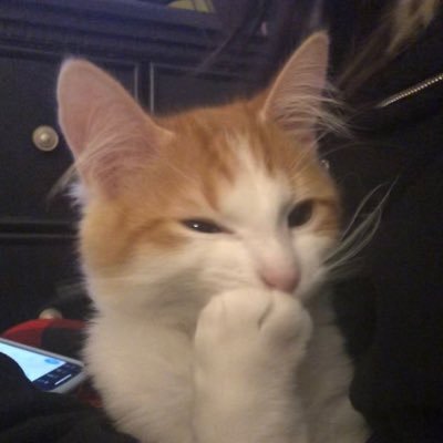 anthrskies's profile picture. @/multiverskies on TikTok