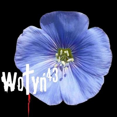 IwanGrozny2's profile picture. Biada tej dłoni , która utoczyła krew. Spuszczamy psy wojny