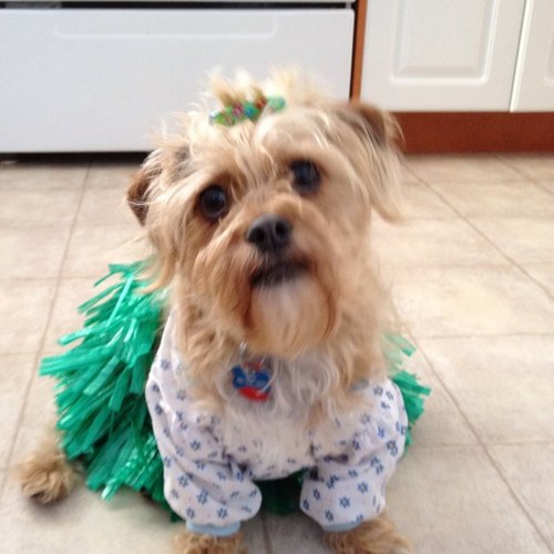 yogamarm's profile picture. 