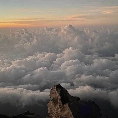 connorchiss's profile picture. Forklift on 🥛