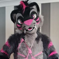 PeekoTooth (@meekobound) 's Twitter Profile