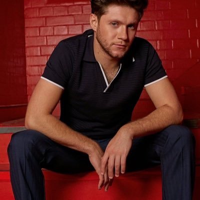 Cerchiamo di organizzare una fan action per il concerto di Niall del 21 marzo 2024. Chi è interessato anche a collaborare ci scriva💛