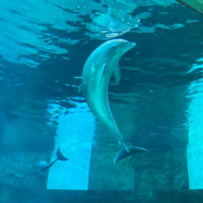 DulceDough's profile picture. 