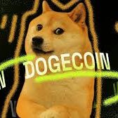 doge_cloud's profile picture.