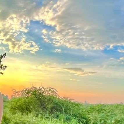 Adeeb_Happy's profile picture. 🇮🇳