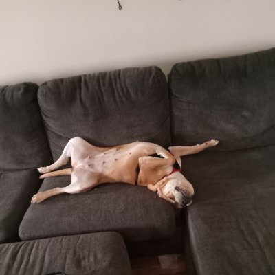 steveestep9's profile picture. Humbleness