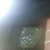 أطياف (@hameo86286438) Twitter profile photo