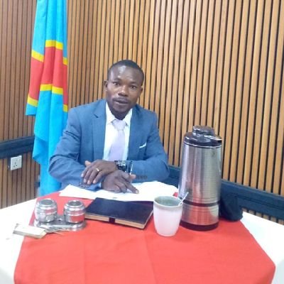 Leader communautaire, Ambassadeur de l'Etat de la Diaspora Africaine SOAD, membre du CENTRE DE RECHERCHE AGROECOLOGIQUE  CRAE, et Consultant indépendant.