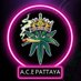 ACEpattaya (@acepattaya1) Twitter profile photo ACEpattaya (@acepattaya1) Twitter profile photo