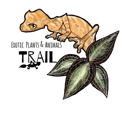 trail_repplants Profile Picture