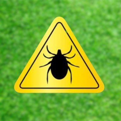 paparrabalear's profile picture. Ajuda'ns a conèixer millor la comunitat de paparres de les Illes Balears col•laborant amb la captura i entrega de les que trobeu.