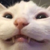 keii ⋆。° ✮ (@ssaturneys1) 's Twitter Profile