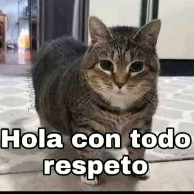 laresinxd's profile picture. alo