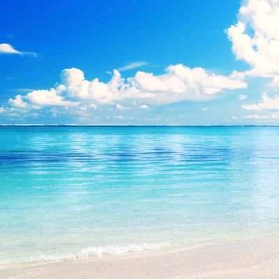 Rapl32797289's profile picture. Amo profundamente a mi pais 🇻🇪 también a la causa justa...y a ti mi querida puerto rico 🇵🇷 te adoro! viva la salsa! 💃 viva el deporte! 🏆 trail runner 🦎