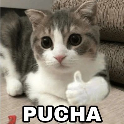 dalgomie33's profile picture. 