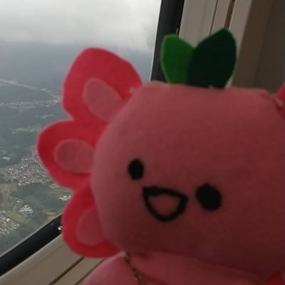 💮しらすけ先生💮さんのプロフィール画像