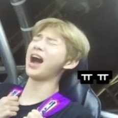 ppinkuppinku's profile picture. DANITY / Only 강다니엘 / 핑머 존버 중 / 깅단 코룽단 / 혼자 잘 떠들고 잘 들이대요 / RPS 극혐