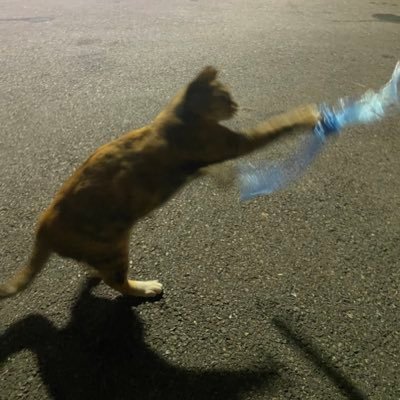 nobannam's profile picture. 남은 시간 공부해서 인서울 해보기 대작전