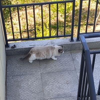 Highmath7745's profile picture. 