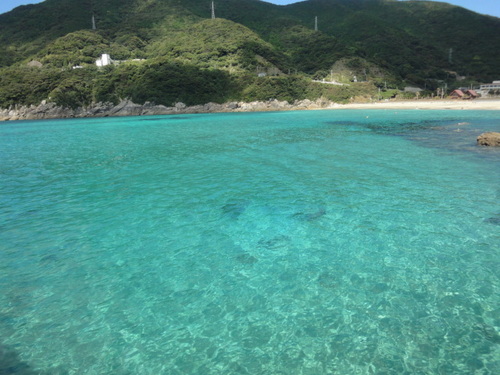 長崎のとある島に生きる島人。ロックショア、エギング、アジング🎣たまに走ります🏃‍♂️※子育て中の為、ぼちぼちとつぶやきます