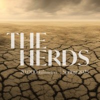 The_Herds(@The__Herds) 's Twitter Profile Photo
