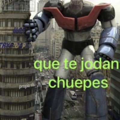 raigal1n's profile picture. 