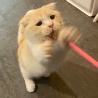 misery (@misery0120) 's Twitter Profile