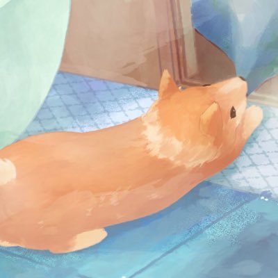 厨⦿さんのプロフィール画像
