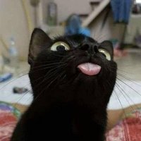 aryo tromol (@rindiksentrup) 's Twitter Profile Photo aryo tromol (@rindiksentrup) 's Twitter Profile Photo