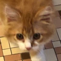 Susan Rudin (@susan_rudin) 's Twitter Profile Photo Susan Rudin (@susan_rudin) 's Twitter Profile Photo