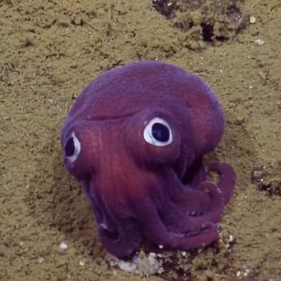 lois_many's profile picture. 