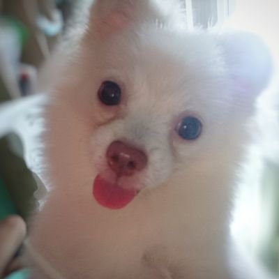 haching_nne's profile picture. Shouma