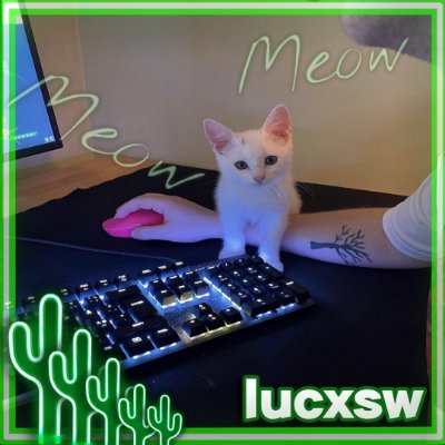 LucxswCS's profile picture. min twitch behövde en twitter