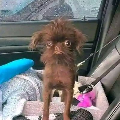 CHUKSIMBA's profile picture. Creativity is contagious pass it on