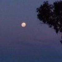 8 (@aiwwt12) 's Twitter Profile Photo