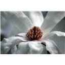 Amanda Smiley - @asmiley030174 - Twitter