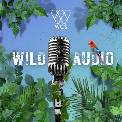 Award-winning podcast from the Wildlife Conservation Society. Apple Podcasts: https://t.co/m5eGMxGKTv. Spotify: https://t.co/kzHnXWkllT.