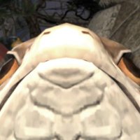 Kallyn (@bad_fisherman) 's Twitter Profile