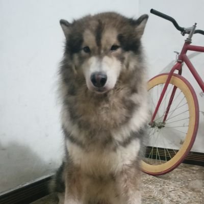 Morgan259091266's profile picture. run eat sleep