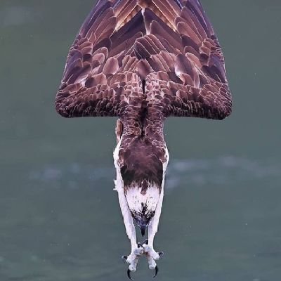 SMwakamele's profile picture. 