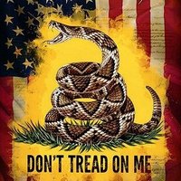 J Mac MAGA Patriot 🇺🇸🇮🇱🎗️(@john1776DecInd) 's Twitter Profile Photo