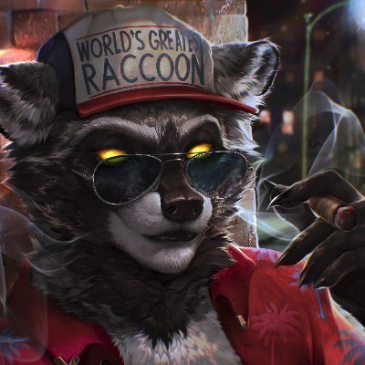 Doc McRascal 🦝さんのプロフィール画像